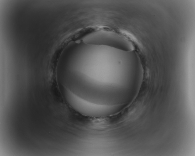 X0000088851303200706151710