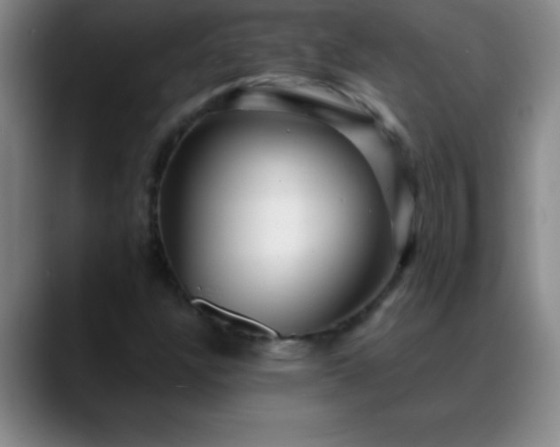 X0000088851304200706151710