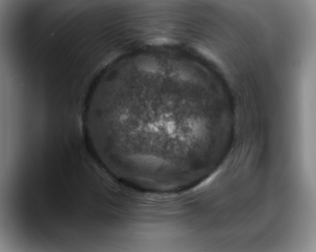 X0000088851305200706151710
