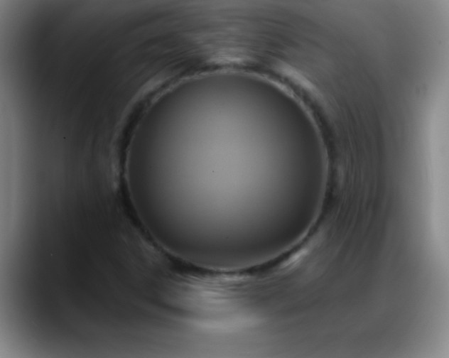 X0000088851306200706151710