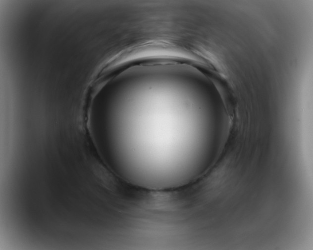 X0000088851308200706151710