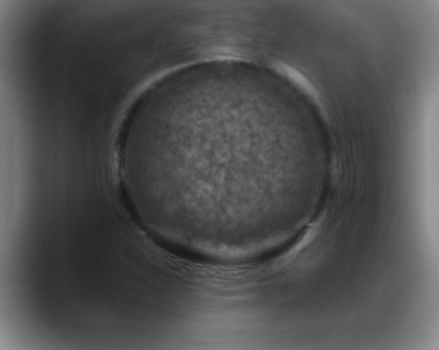 X0000088851310200706151710