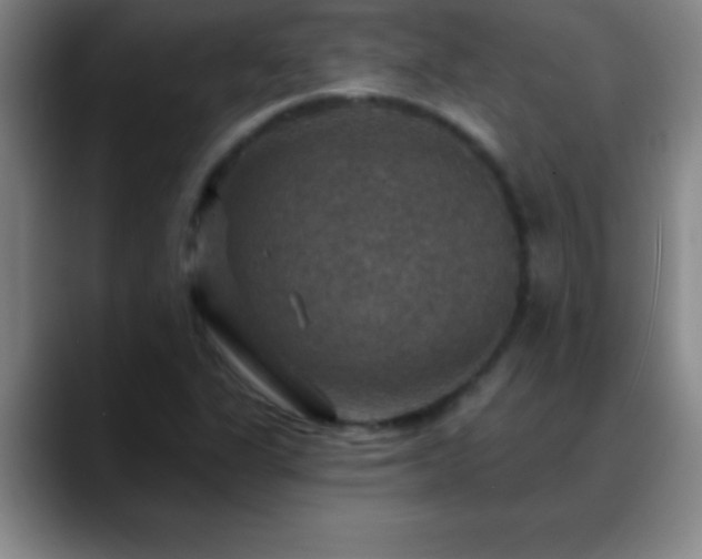 X0000088851311200706151710