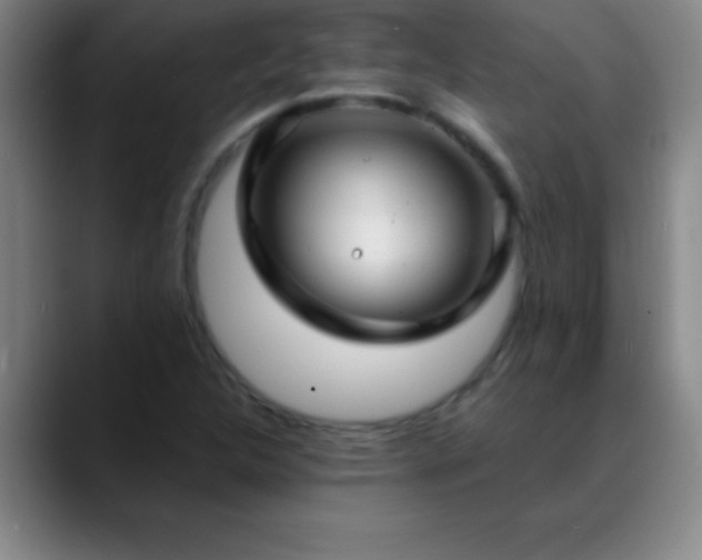 X0000088851312200706151710