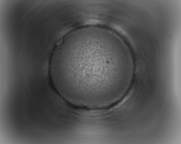X0000088851313200706151710
