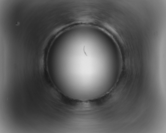 X0000088851315200706151710