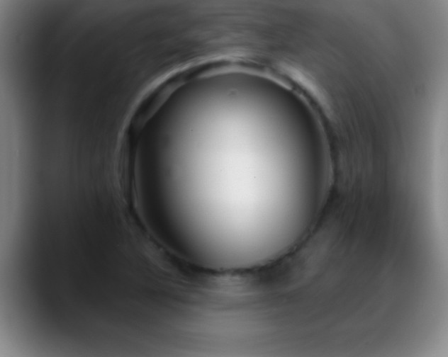 X0000088851316200706151710
