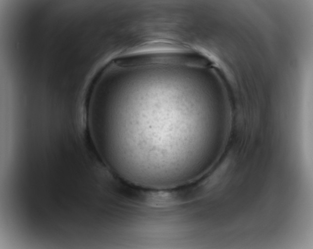 X0000088851317200706151710