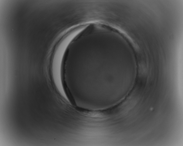 X0000088851319200706151710