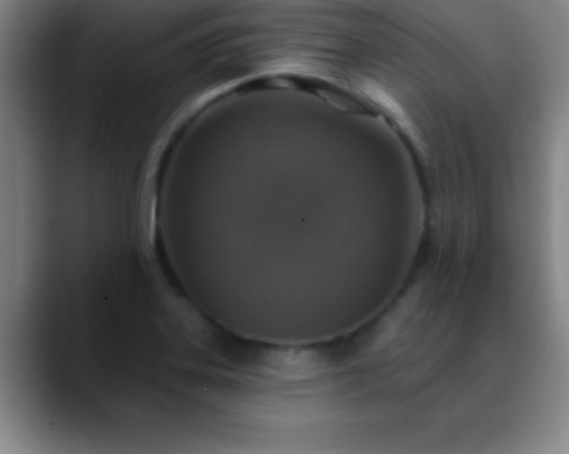 X0000088851323200706151710