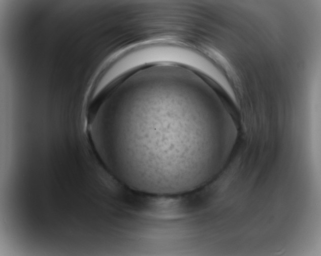 X0000088851324200706151710