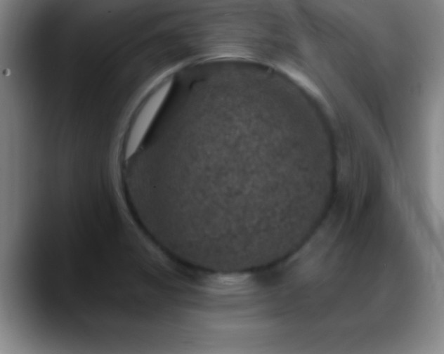 X0000088851325200706151710