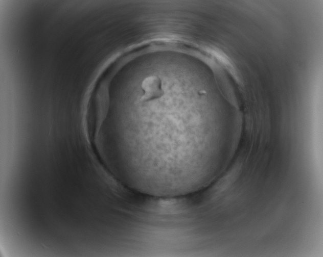 X0000088851326200706151710