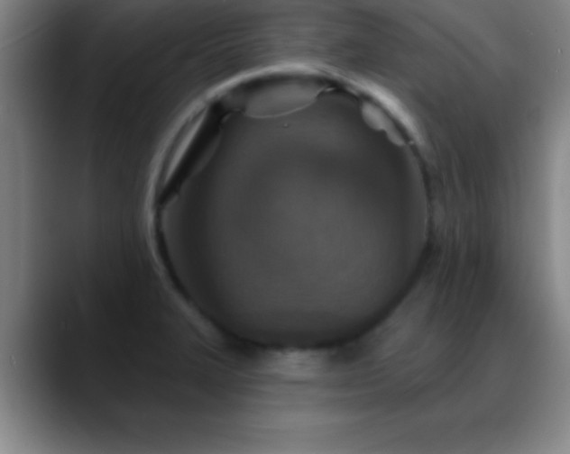 X0000088851327200706151710