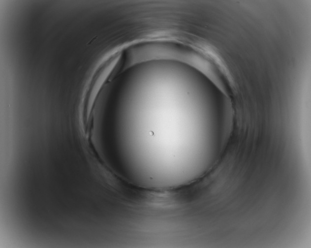 X0000088851328200706151710