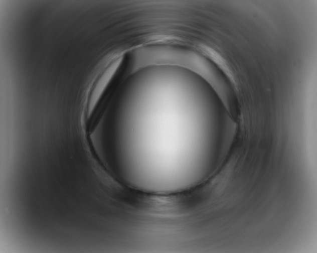 X0000088851330200706151710
