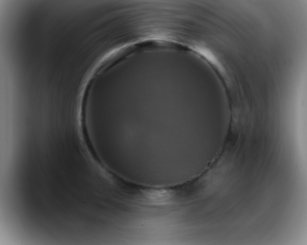 X0000088851331200706151710