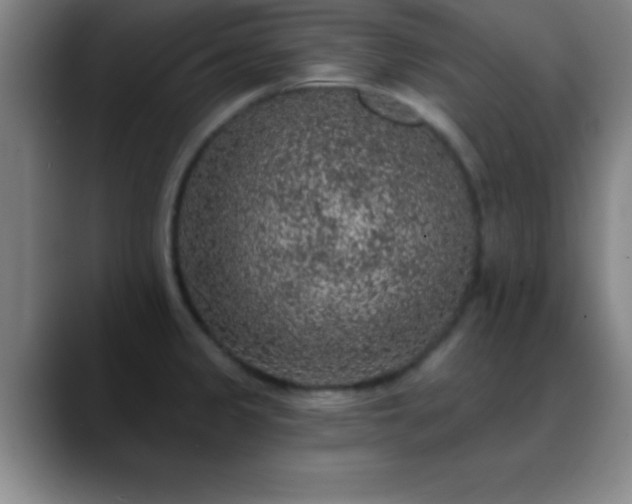 X0000088851333200706151710