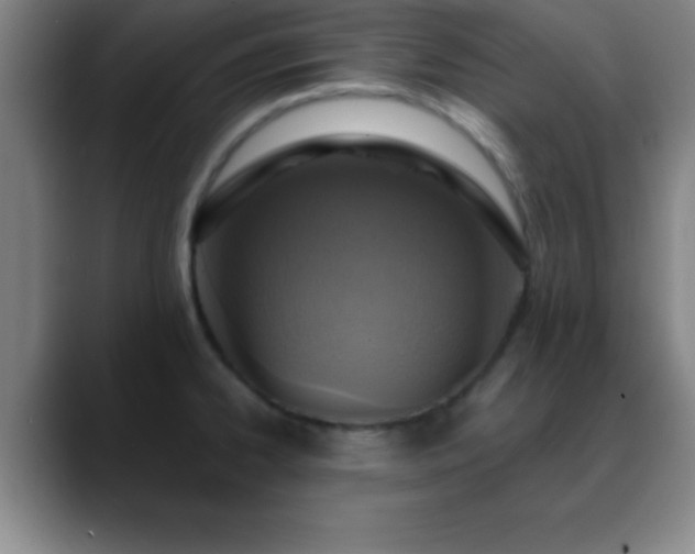 X0000088851334200706151710