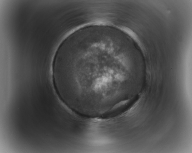 X0000088851335200706151710