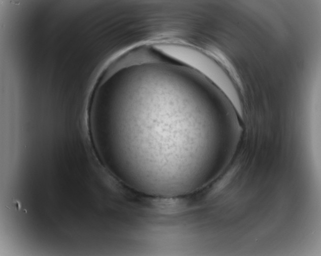 X0000088851336200706151710