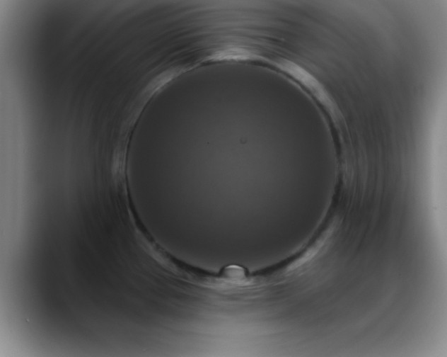 X0000088851337200706151710