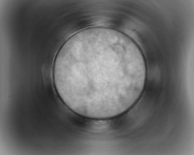 X0000088851338200706151710