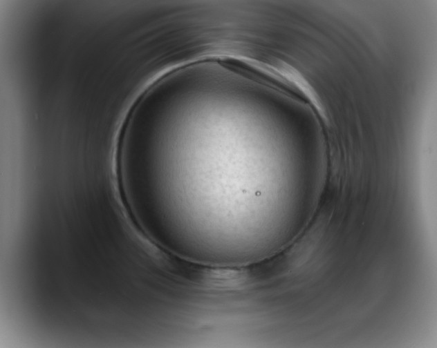 X0000088851339200706151710