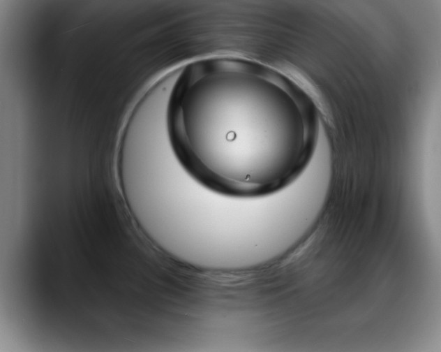 X0000088851340200706151710
