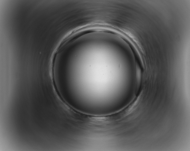 X0000088851342200706151710