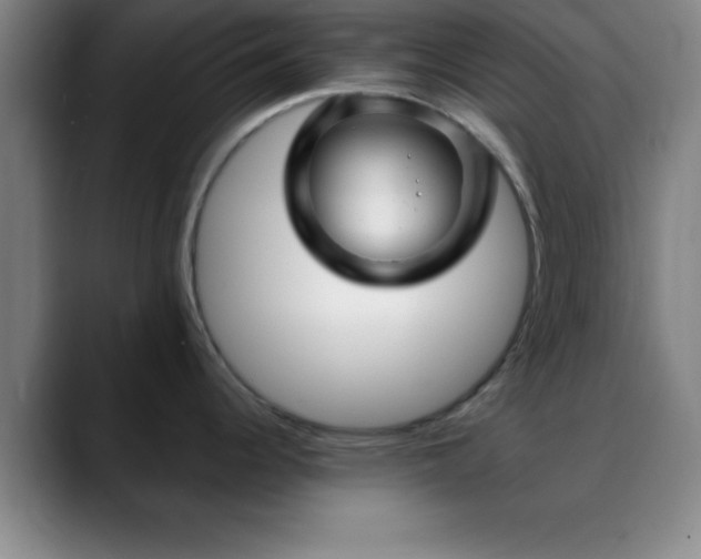 X0000088851344200706151710