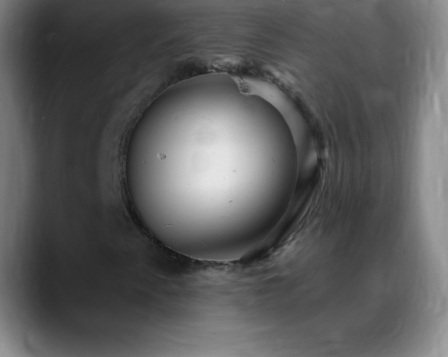 X0000088851345200706151710