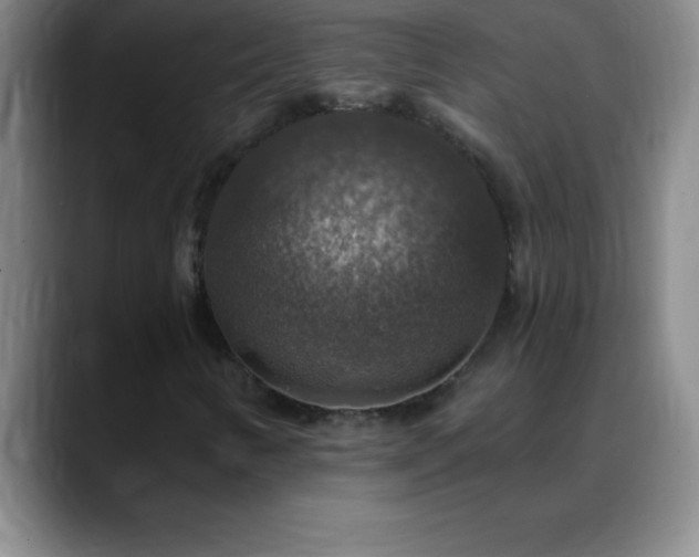 X0000088851346200706151710