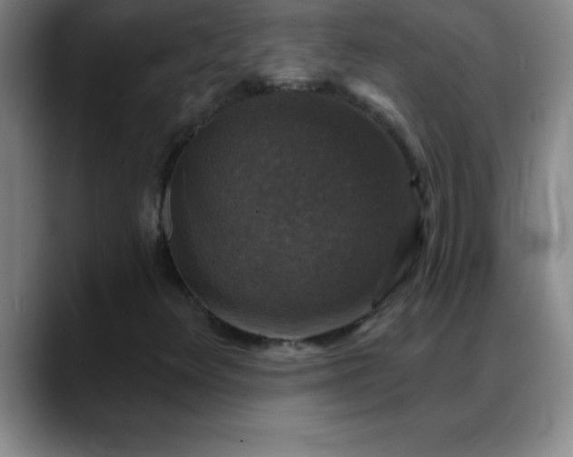 X0000088851348200706151710