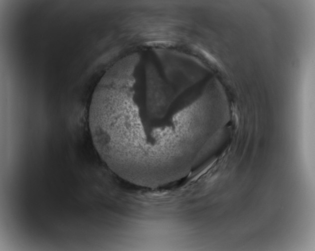 X0000088851351200706151710