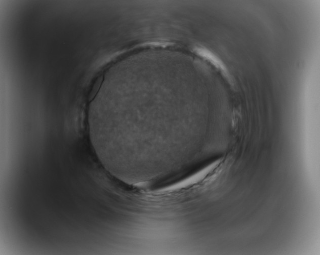 X0000088851352200706151710