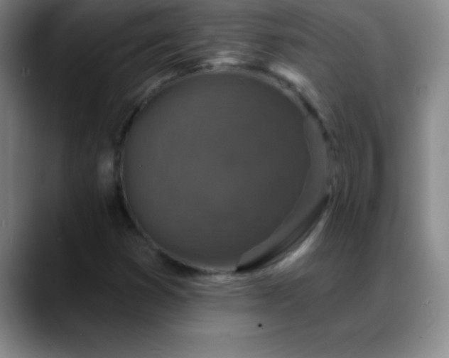 X0000088851353200706151709
