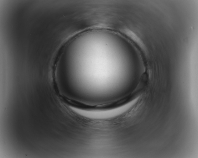 X0000088851356200706151709