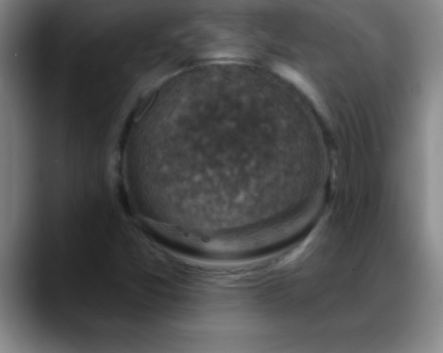 X0000088851357200706151709