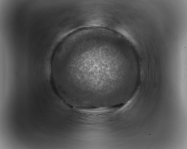 X0000088851358200706151709