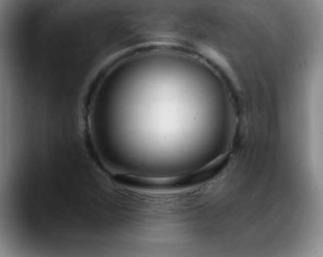 X0000088851360200706151709