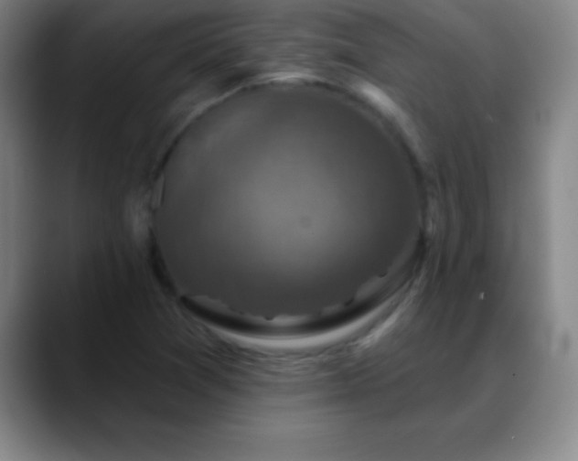 X0000088851361200706151709