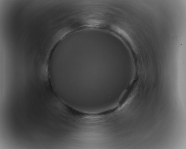 X0000088851362200706151709