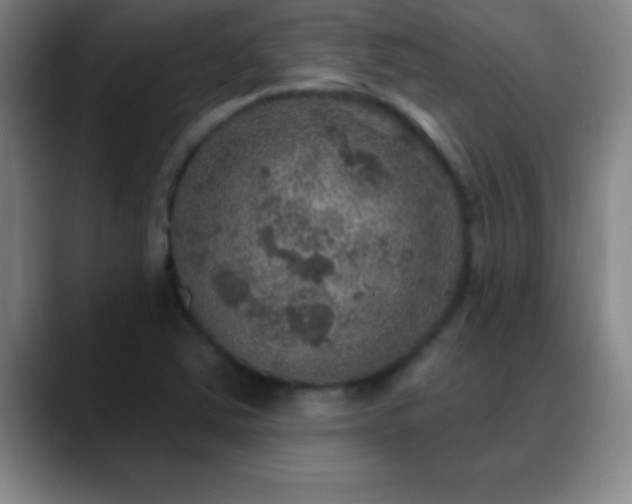 X0000088851363200706151709