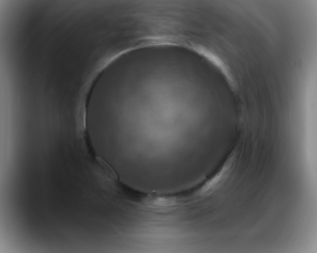X0000088851365200706151709