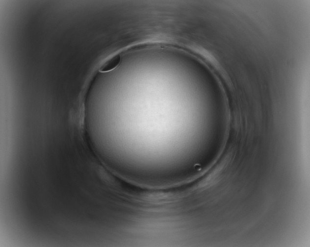 X0000088851366200706151709
