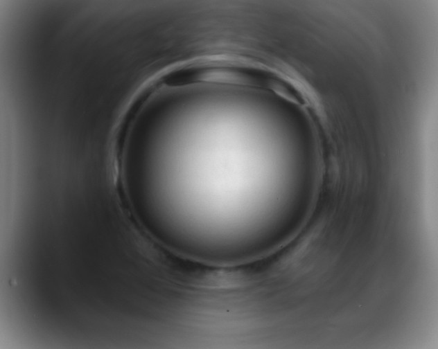 X0000088851368200706151709