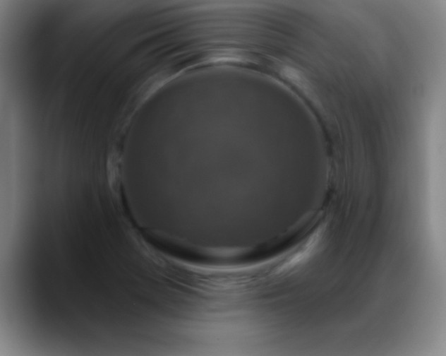 X0000088851369200706151709