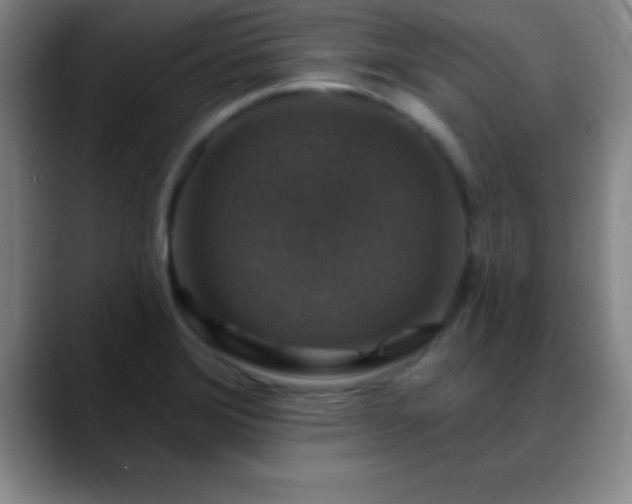 X0000088851372200706151709