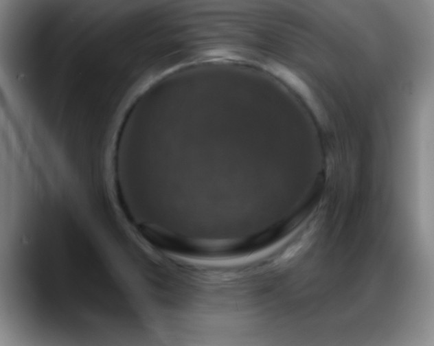 X0000088851373200706151709